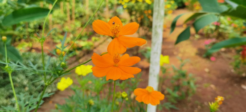 50669443073_2c17bc4a92_b