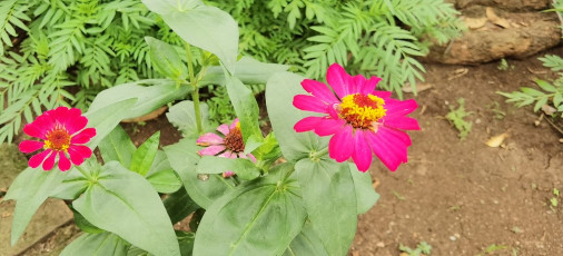 50669443823_ecc283d6c3_b