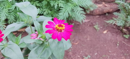 50669444003_3d3a95b250_b