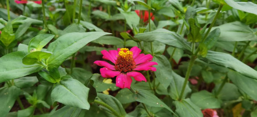 50670266472_cb6755d7e0_b