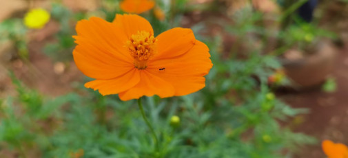 50670267152_50a7655850_b