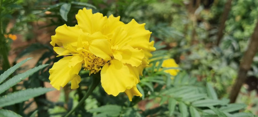 50670267572_b60c59bd96_b