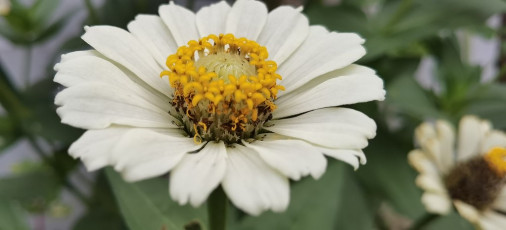 50670268127_452a7981ab_b